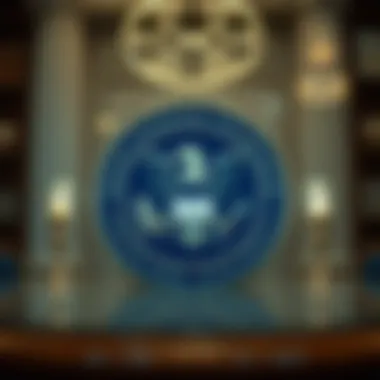 Magnificent SEC 리플 항소: 상황 분석 및 향후 전망 Magnificent SEC 리플 항소: 상황 분석 및 향후 전망