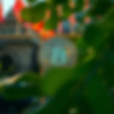 블랭코스 블록 파티의 이해와 그 영향력 Introduction