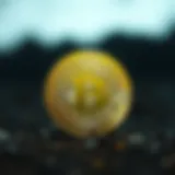 BTC 코인: 비트코인의 역사와 기술적 이해 Introduction