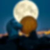Symbolic representation of Luna and Binance interaction