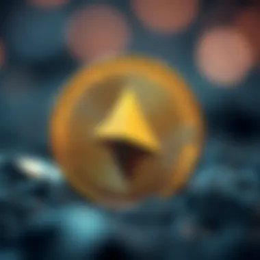 XLM 탐색기: 가이드와 통찰 Introduction