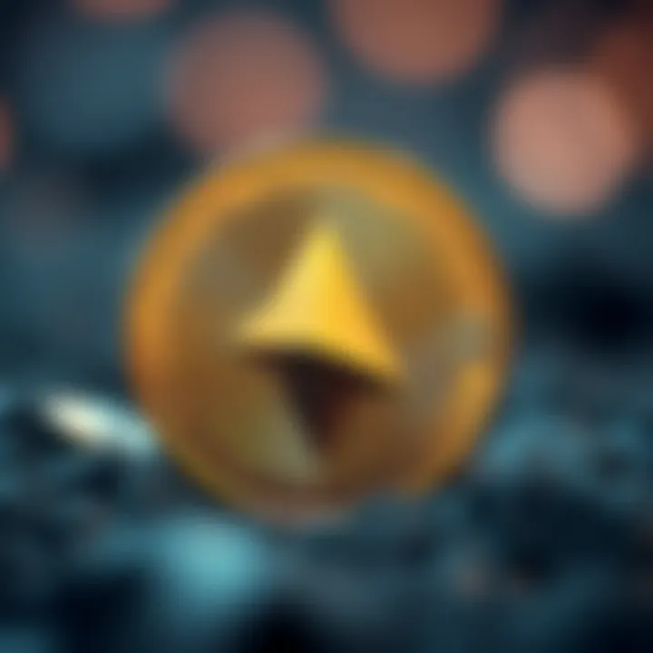 XLM 탐색기: 가이드와 통찰 Introduction