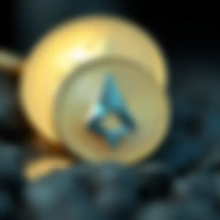 XLM 탐색기: 가이드와 통찰 Summary